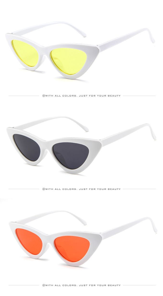 Butterfly Cat Eye Frame Glasses Trendy Street Style Hot Sale Sunglasses 3