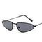 Woman Modern Cat Eye Frame Sunglasses 143MM BSCI Multi Colors