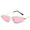 Woman Modern Cat Eye Frame Sunglasses 143MM BSCI Multi Colors