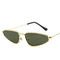 Woman Modern Cat Eye Frame Sunglasses 143MM BSCI Multi Colors
