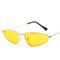 Woman Modern Cat Eye Frame Sunglasses 143MM BSCI Multi Colors
