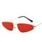 Woman Modern Cat Eye Frame Sunglasses 143MM BSCI Multi Colors