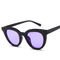 UV400 Round Women Retro Ladies Oval Sunglasses Acrylic Lens