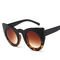 Butterfly Cat Eye Glasses Plastic Frame Clear Gradient Lens Sunglasses