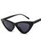 Butterfly Cat Eye Frame Glasses Trendy Street Style Hot Sale Sunglasses