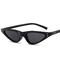 Retro Small Petals Drips Design Small Cat Eye Sunglasses Designer Sunnies Fun Glasses