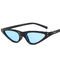 Retro Small Petals Drips Design Small Cat Eye Sunglasses Designer Sunnies Fun Glasses