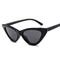 Retro Vintage Narrow Cat Eye Sunglasses Women Cat Eye Clout Glasses Plastic Frame