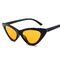 Retro Vintage Narrow Cat Eye Sunglasses Women Cat Eye Clout Glasses Plastic Frame