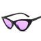 Retro Vintage Narrow Cat Eye Sunglasses Women Cat Eye Clout Glasses Plastic Frame