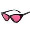 Retro Vintage Narrow Cat Eye Sunglasses Women Cat Eye Clout Glasses Plastic Frame