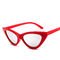 Retro Vintage Narrow Cat Eye Sunglasses Women Cat Eye Clout Glasses Plastic Frame
