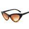 Retro Vintage Narrow Cat Eye Sunglasses Women Cat Eye Clout Glasses Plastic Frame