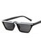 Men Women Trend Small Box Cool Cat Eye Glasses Outdoor Catwalk Travel Sunshade