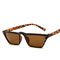 Men Women Trend Small Box Cool Cat Eye Glasses Outdoor Catwalk Travel Sunshade