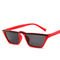 Men Women Trend Small Box Cool Cat Eye Glasses Outdoor Catwalk Travel Sunshade